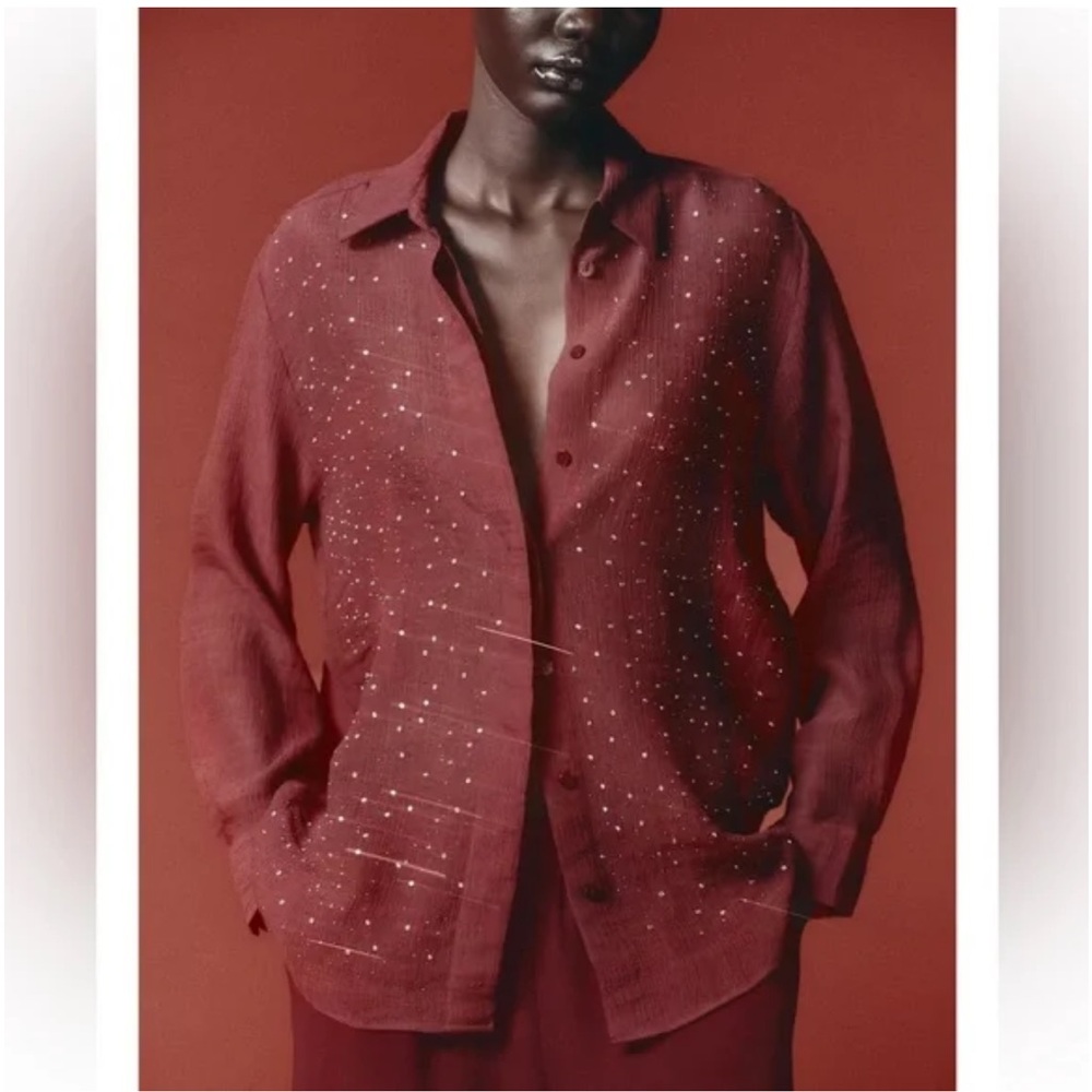 Zara Burgundy beaded blouse